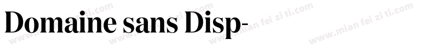 Domaine sans Disp字体转换